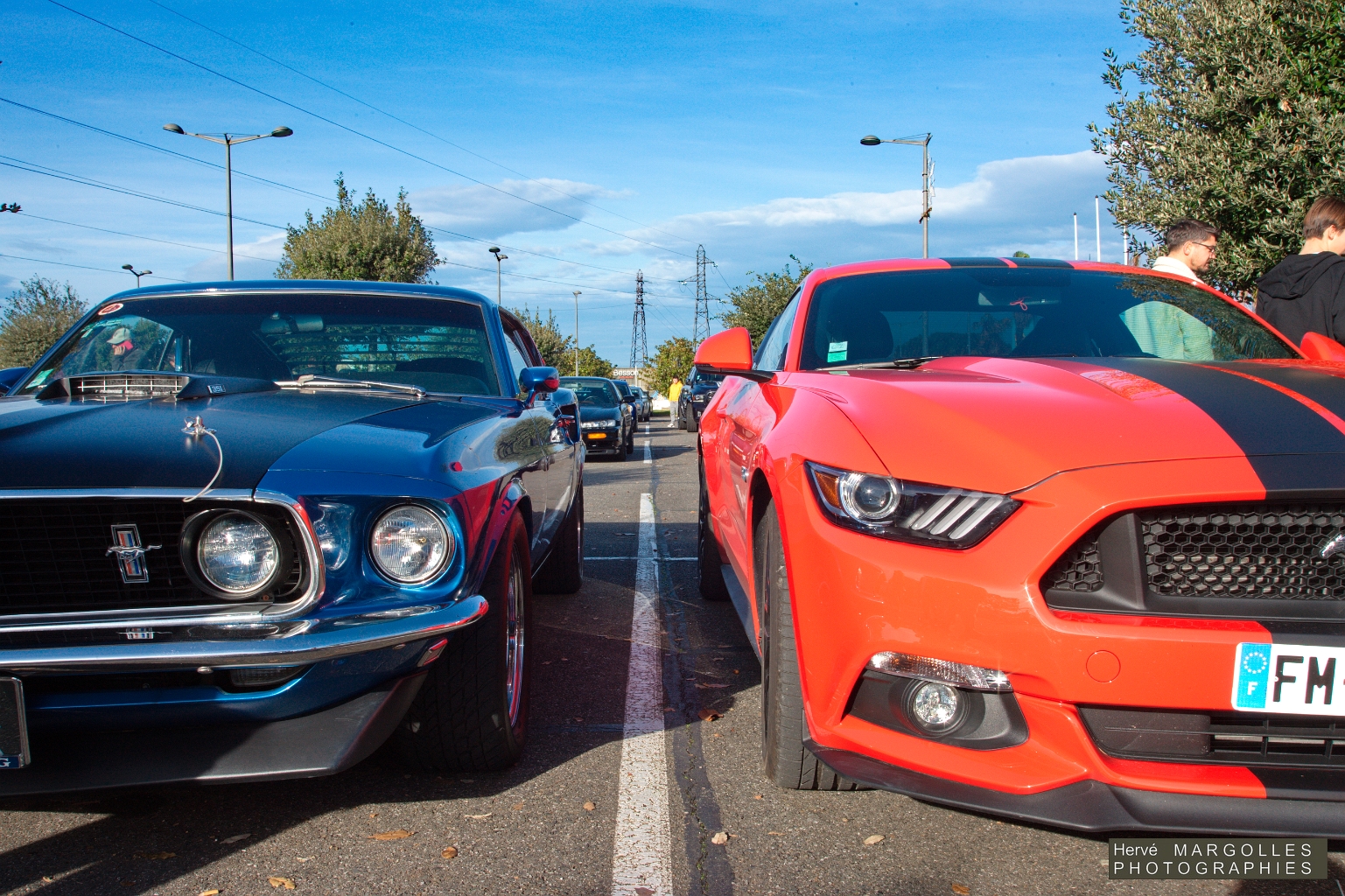 Ford Mustang_02.jpg